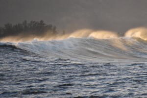 I Have Seen Them Riding Seaward